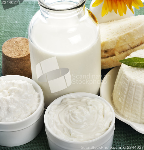 Image of Dairy Products