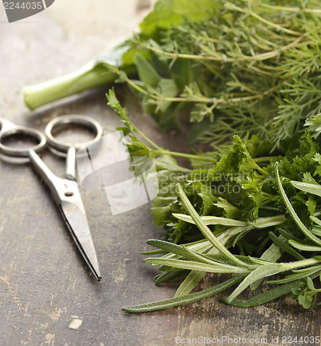 Image of Fresh Herbs 