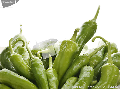 Image of Fresh Green Bell Pepper
