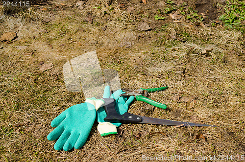 Image of rubber gloves hand saw clippers tree twig cut 