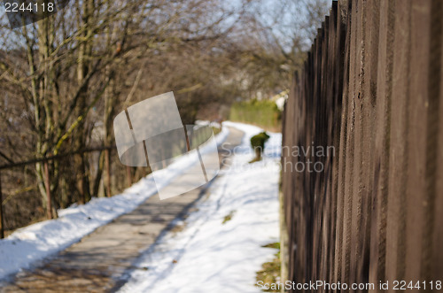 Image of bright brown color plank fence winding path trees  