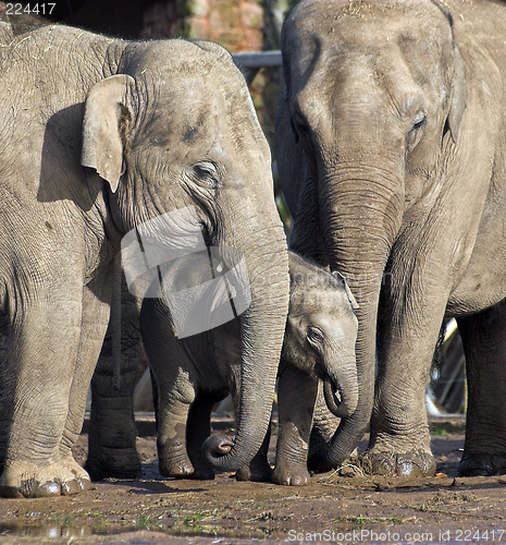 Image of Protecting baby