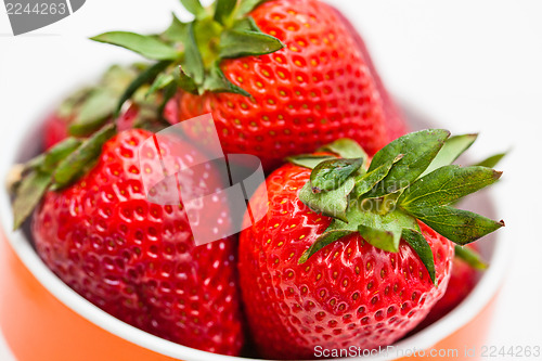 Image of Fresh strawberries