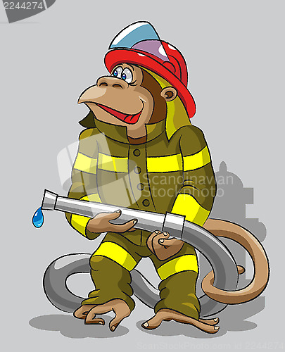 Image of Monkey -  fireman