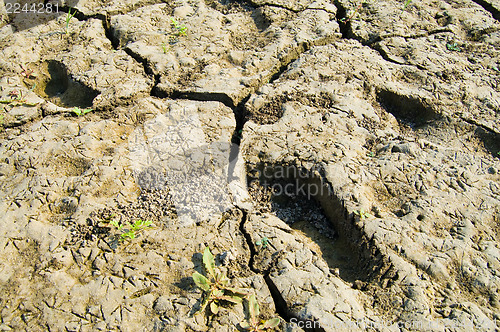 Image of footprint