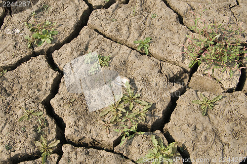 Image of dried up earth