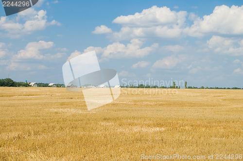 Image of field after harvesting