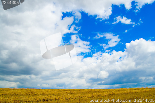 Image of dark blue sky