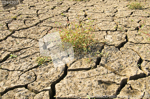 Image of after flood