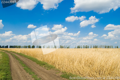 Image of earth road