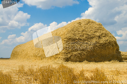 Image of haystack of straw