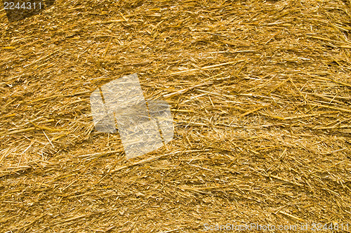 Image of straw