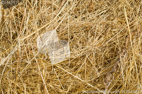 Image of heap of straw as background