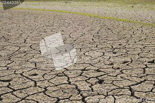 Image of textured ground