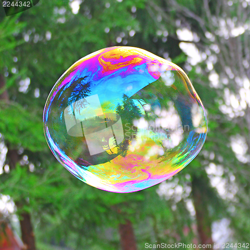 Image of big soap bubble