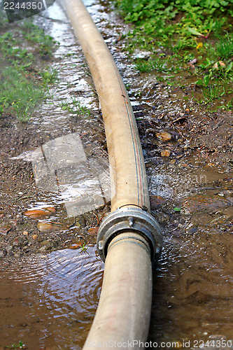 Image of damaged garden hose