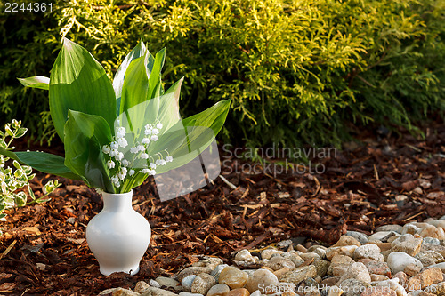 Image of Blooming Lily of the valley in white vase outdoor