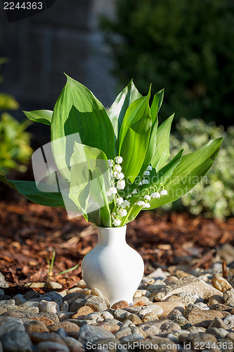 Image of Blooming Lily of the valley in white vase outdoor