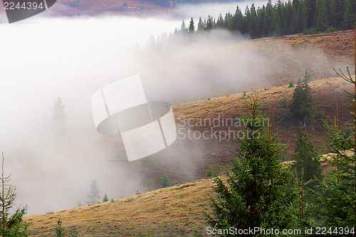 Image of foggy autumn morning