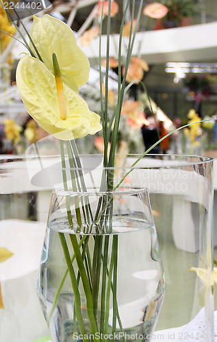 Image of Flowers in the vase