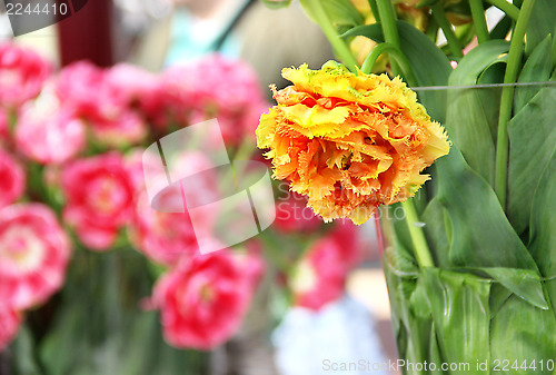 Image of Big mix of amazing flowers in vases 