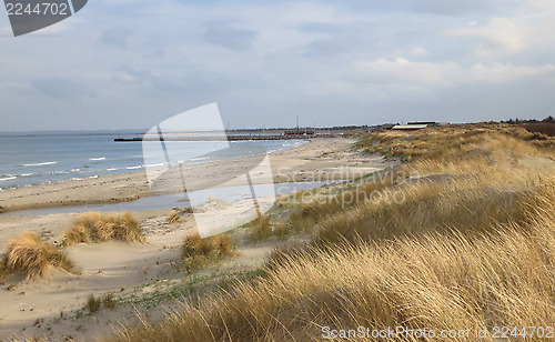 Image of Beach