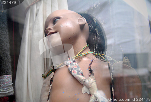Image of Form in window display