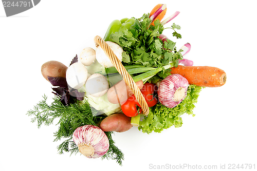 Image of Vegetable Basket