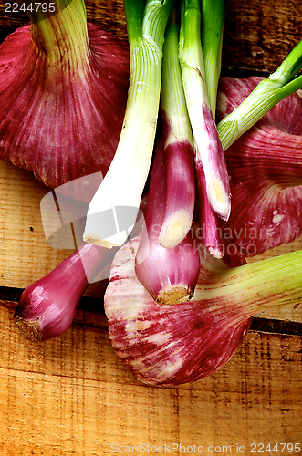 Image of Garlic and Onion