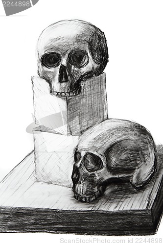 Image of My hand drawing lesson 4 human skull