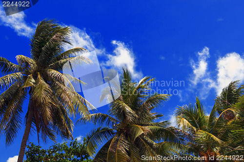 Image of Thailand Blue Sky.
