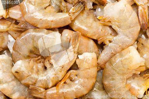 Image of Raw headless prawns closeup