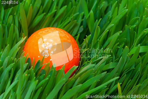 Image of Orange golf ball in the long grass