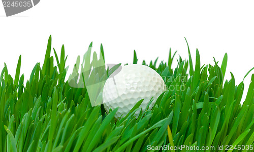 Image of White golf ball in the long grass
