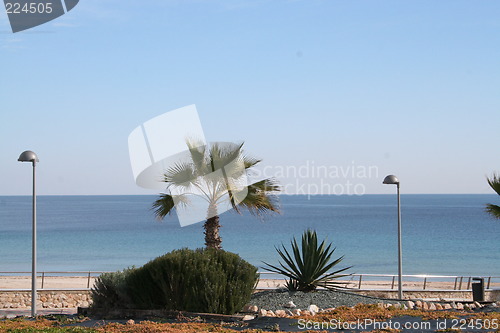 Image of The Mediterranean