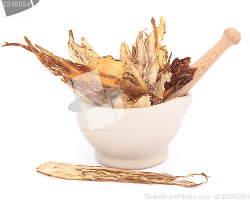 Image of Angelica Herb 
