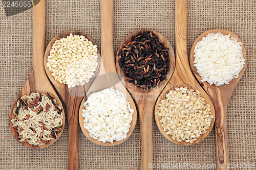 Image of Rice Varieties