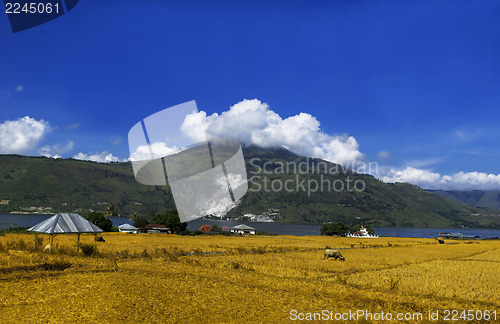 Image of Lake Toba Panorama.