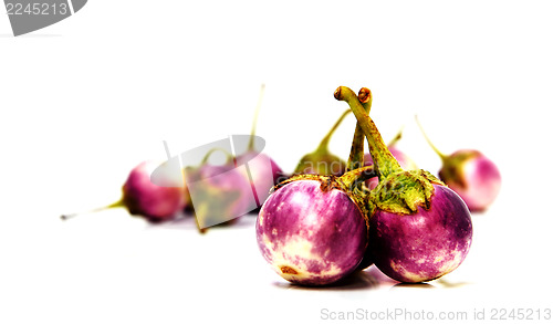 Image of Group of small Egg-plants. Aubergine.