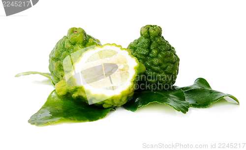 Image of Fresh green lime. Kafir