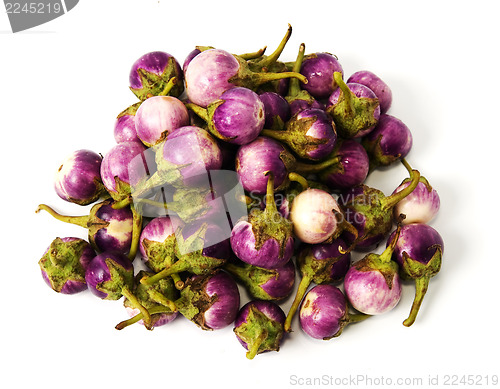 Image of Group of small Egg-plants. Aubergine.