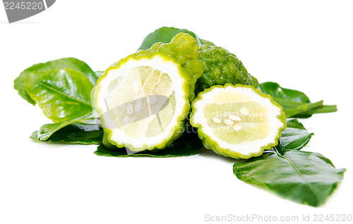 Image of Fresh green lime. Kafir