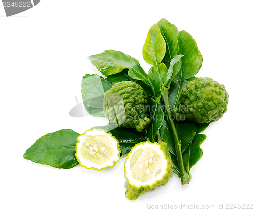 Image of Fresh green lime. Kafir