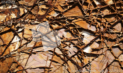 Image of textured cracked rock