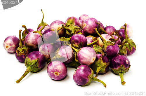 Image of Group of small Egg-plants. Aubergine.