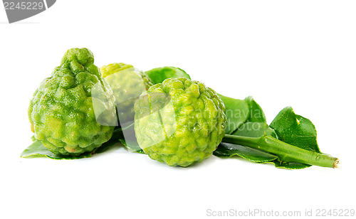 Image of Fresh green lime. Kafir