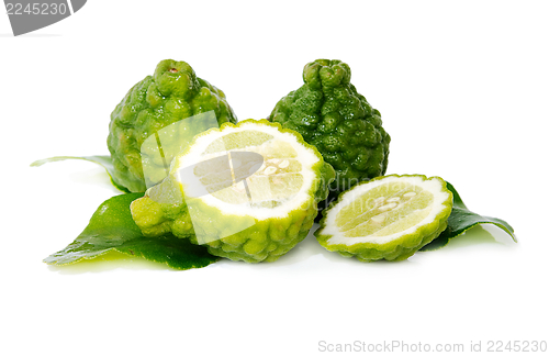 Image of Fresh green lime. Kafir