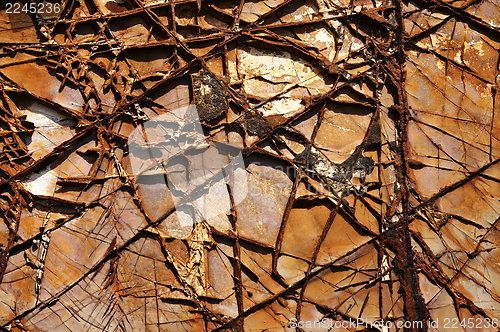 Image of textured cracked rock