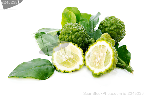 Image of Fresh green lime. Kafir