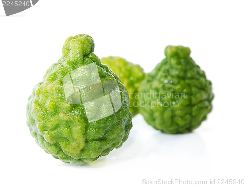 Image of Fresh green lime. Kafir